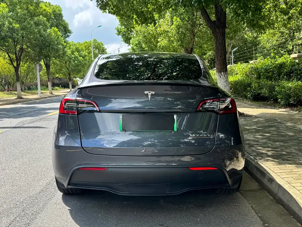 Tesla Model Y — миниатюра 5