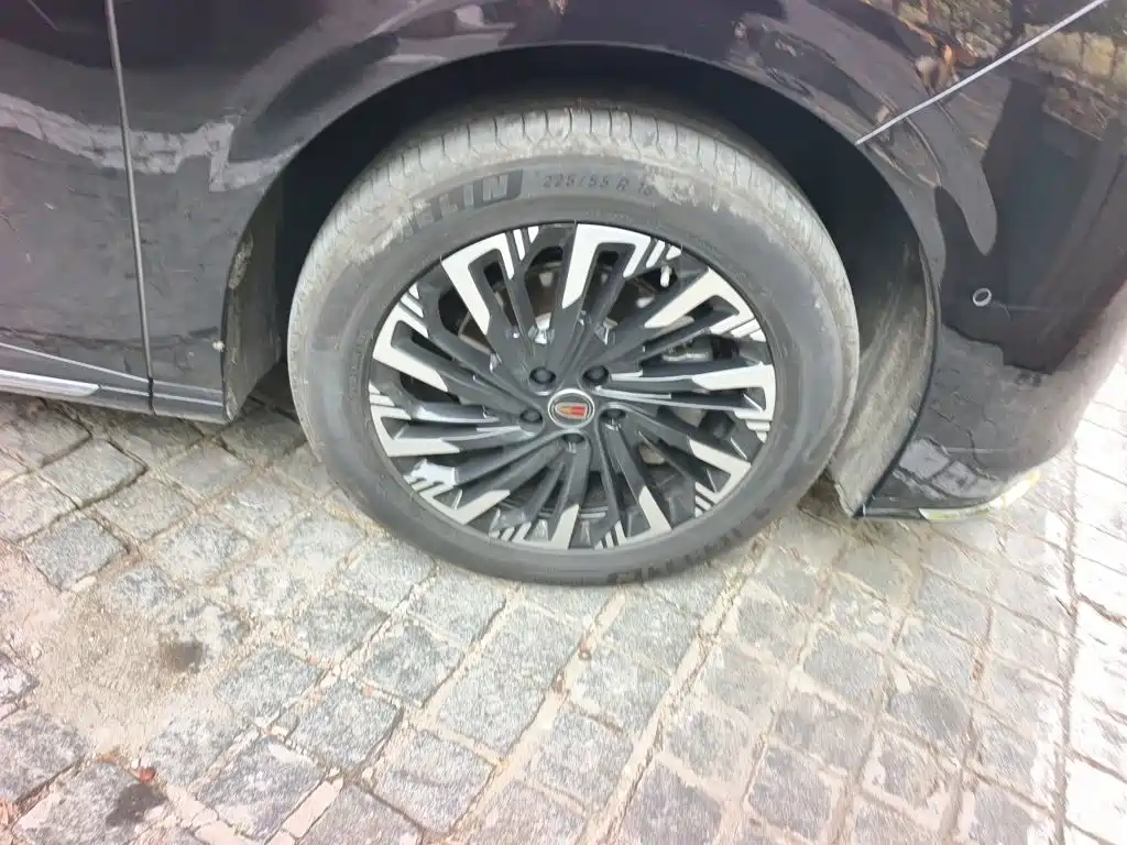 Hongqi Hongqi HQ9 — миниатюра 24