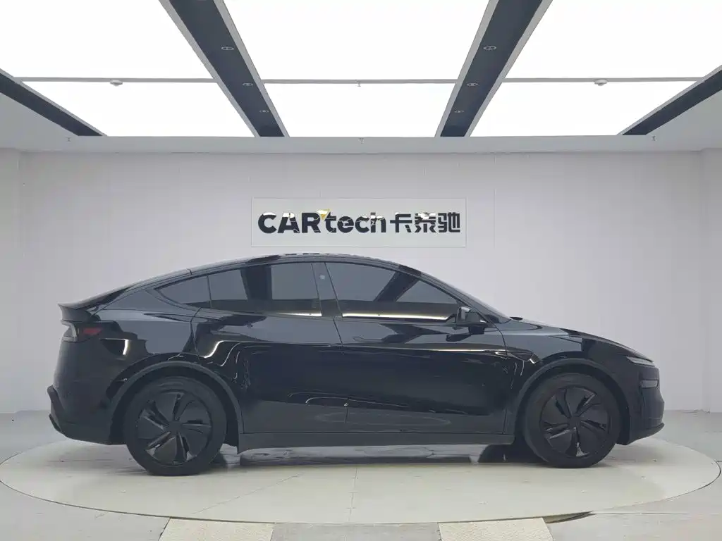 Tesla Model Y — миниатюра 6