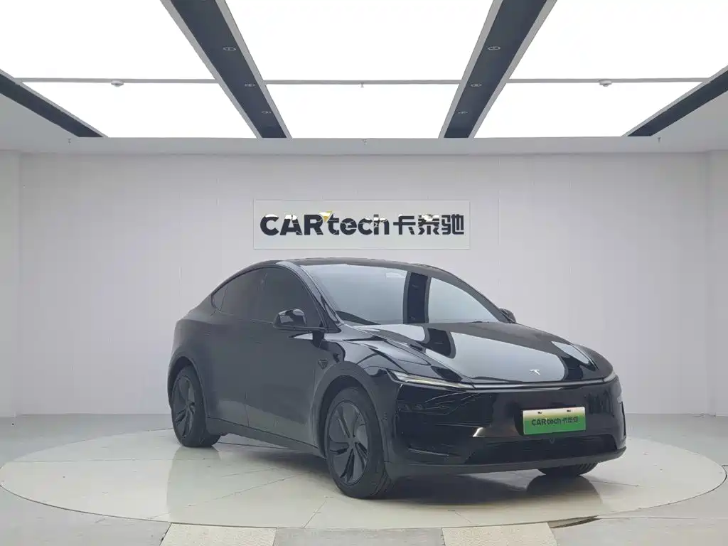 Tesla Model Y — миниатюра 7