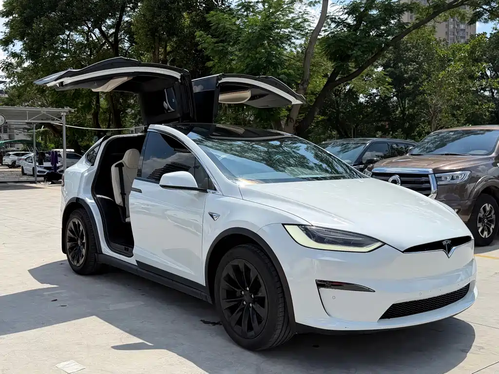 Tesla Model X — миниатюра 2