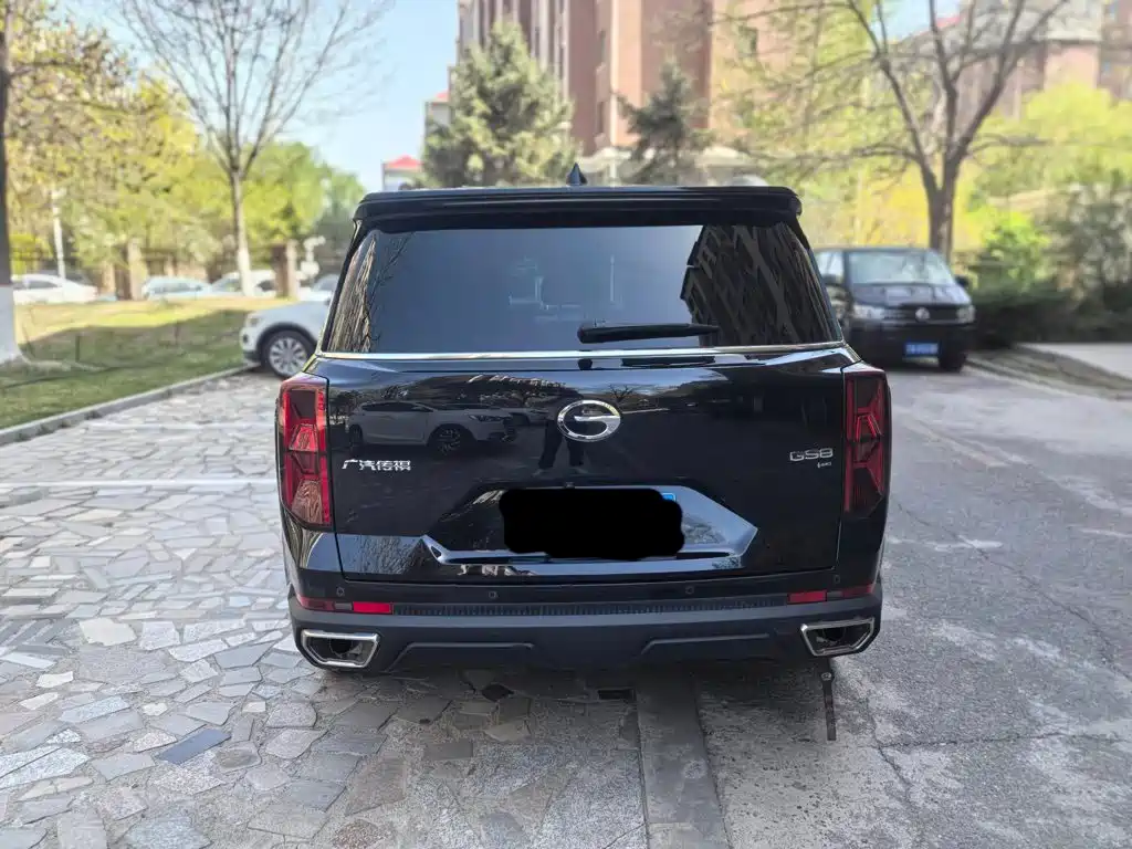 GAC Motor Trumpchi GS8 — миниатюра 3
