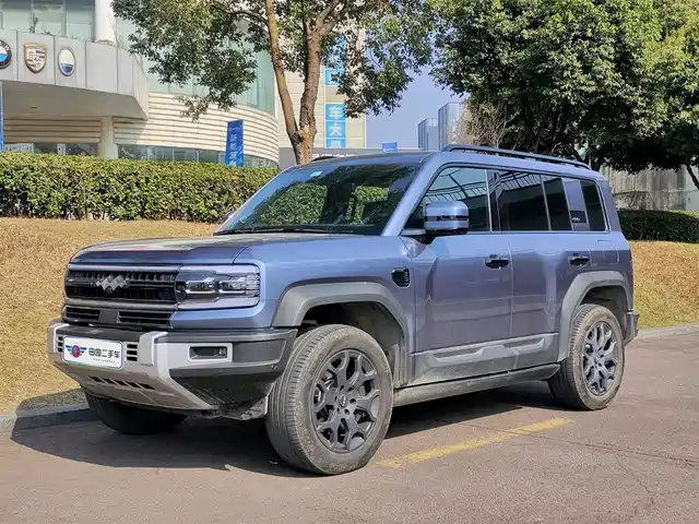 fang-cheng-bao leopard-5