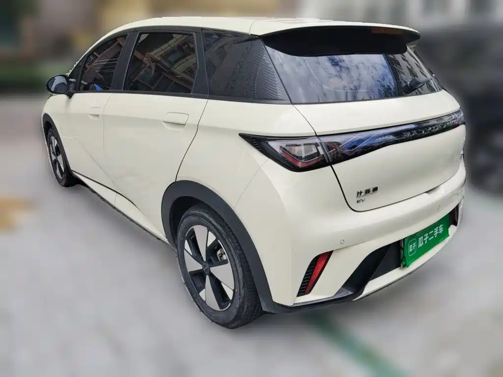 BYD Dolphin — миниатюра 25