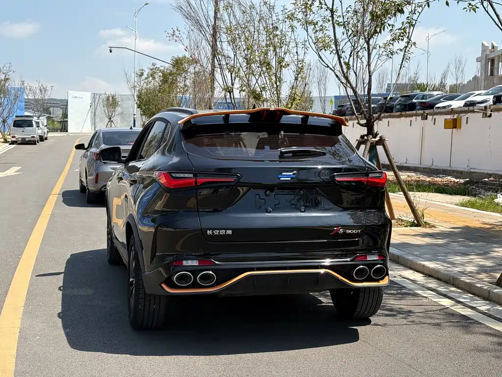 Oshan Oushang X5 — миниатюра 15