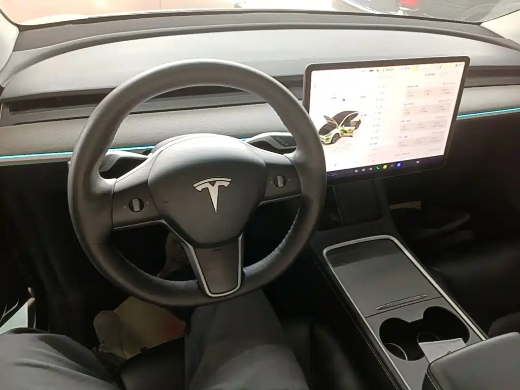 Tesla Model Y — миниатюра 10