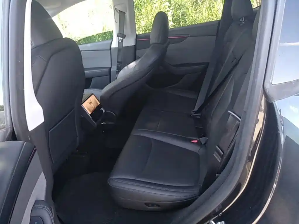 Tesla Model Y — миниатюра 17