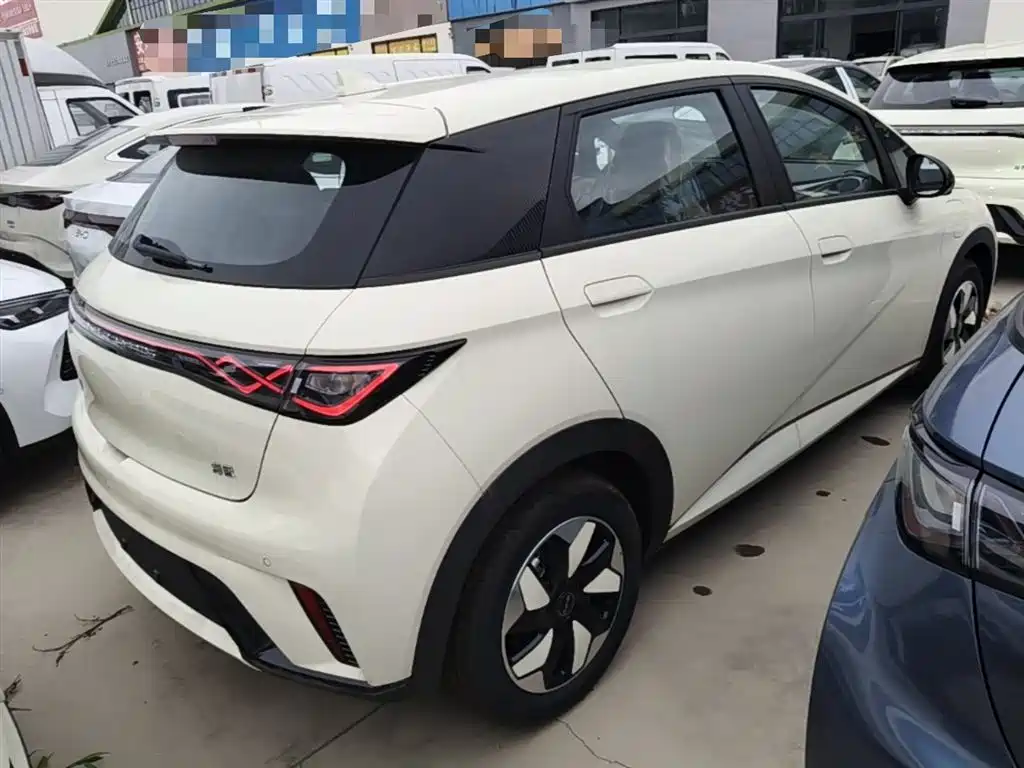 BYD Dolphin 2025 420km Freedom