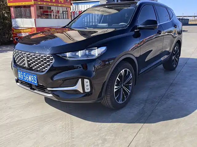 WEI PAI WEI BRAND VV6 2020