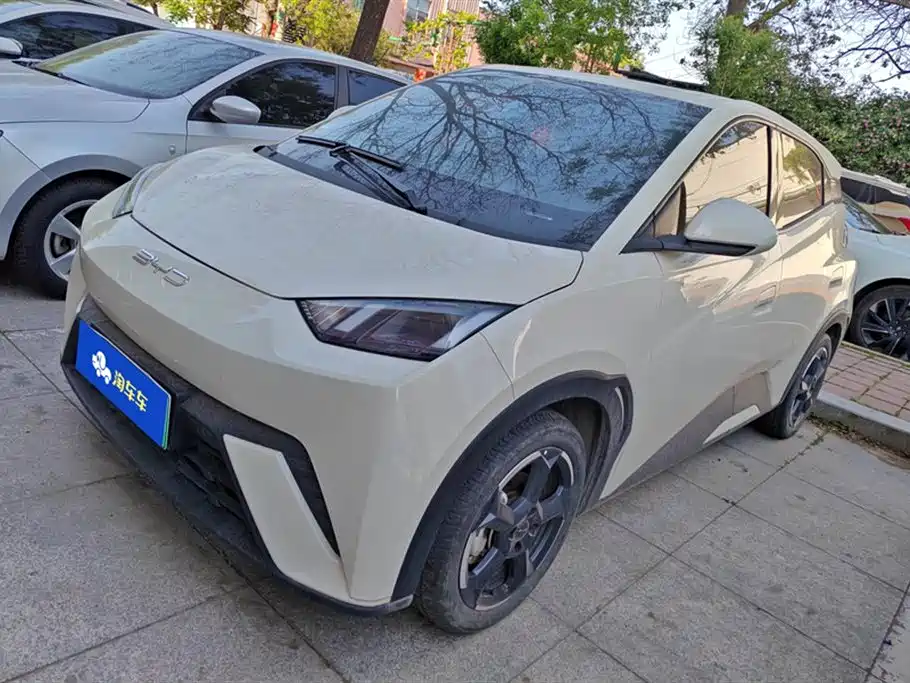 Byd Seagull 2024