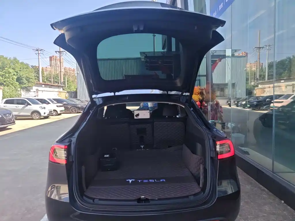 Tesla Model Y — миниатюра 19