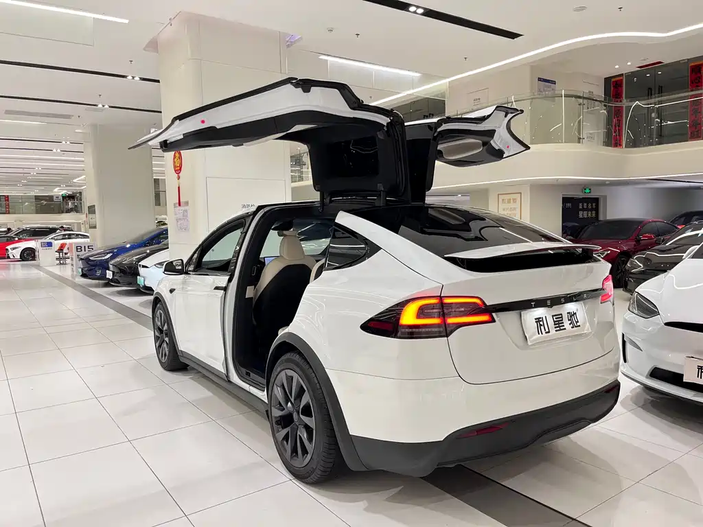 TESLA MODEL X