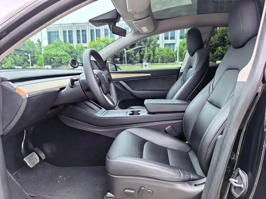 Tesla Model Y — миниатюра 7