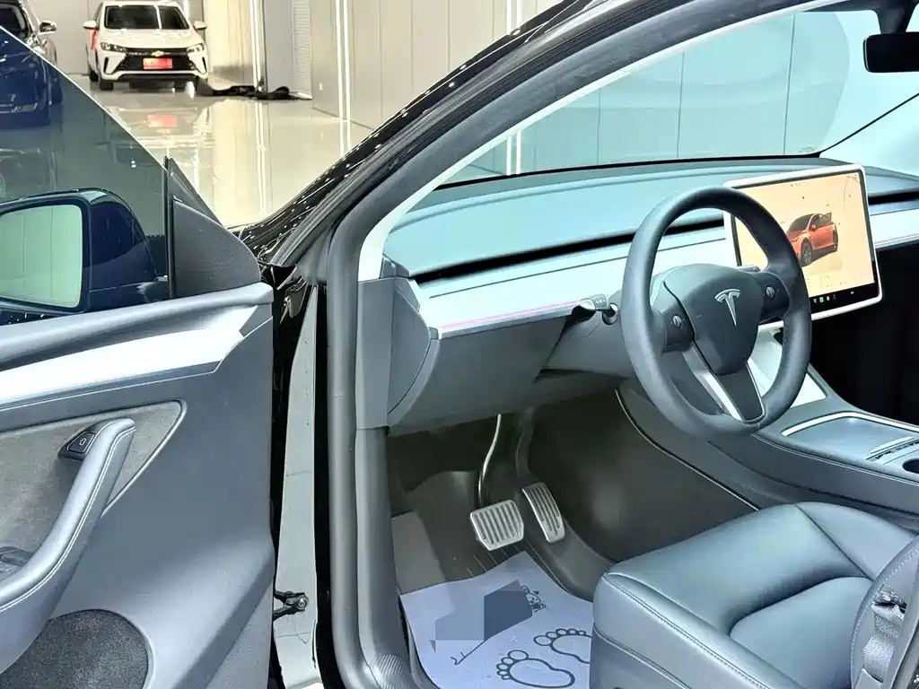 Tesla Model Y — миниатюра 9