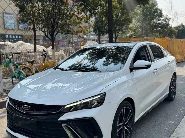 GEELY AUTOMOBILE BINRUI