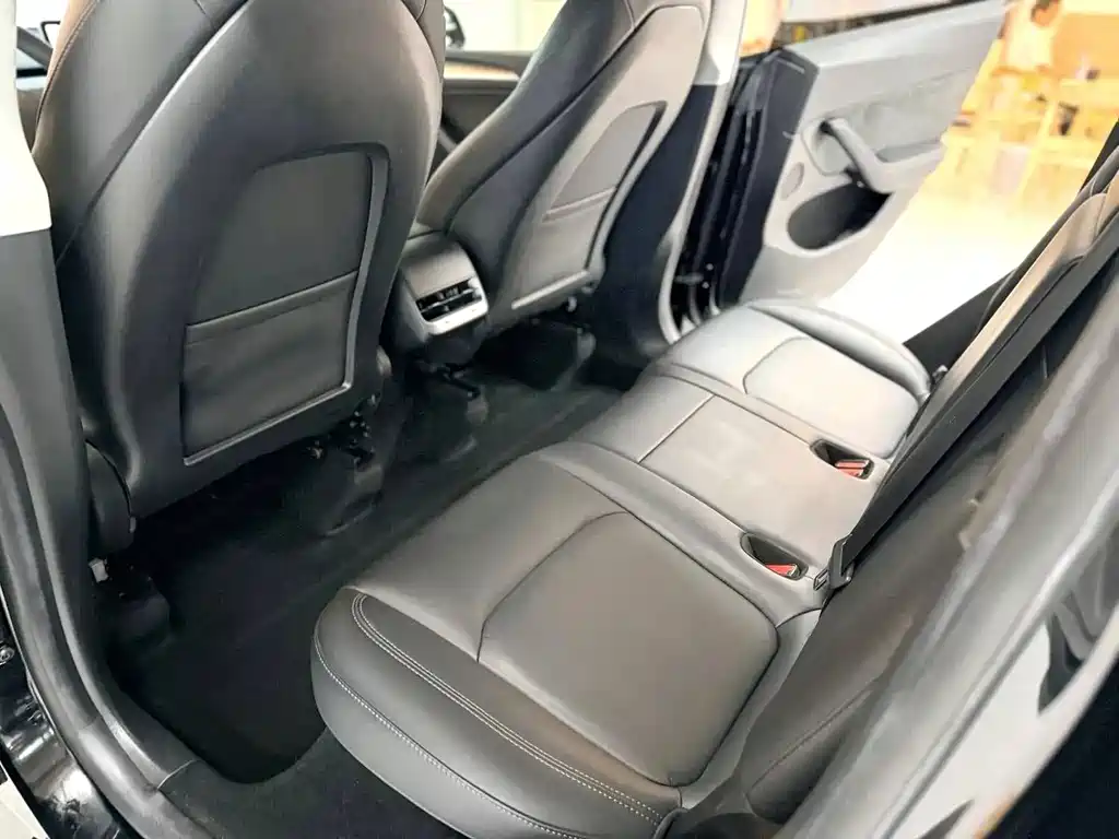 Tesla Model Y — миниатюра 3