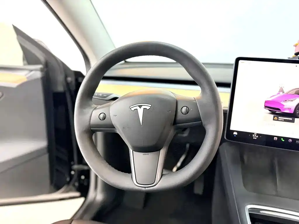 Tesla Model Y — миниатюра 7