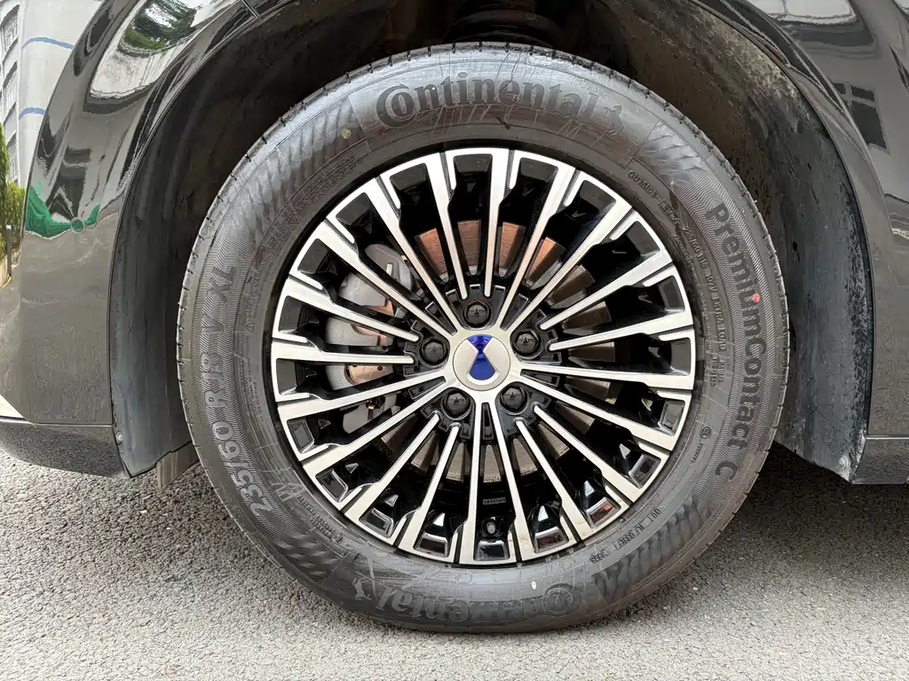 Denza Denza D9 — миниатюра 17