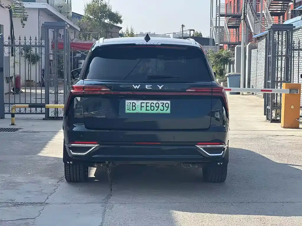 Wey Wey Lanshan — миниатюра 14