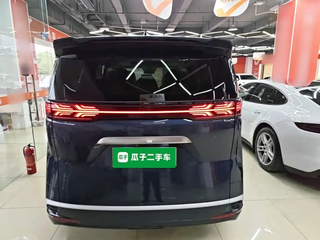 Denza Denza D9 — миниатюра 6