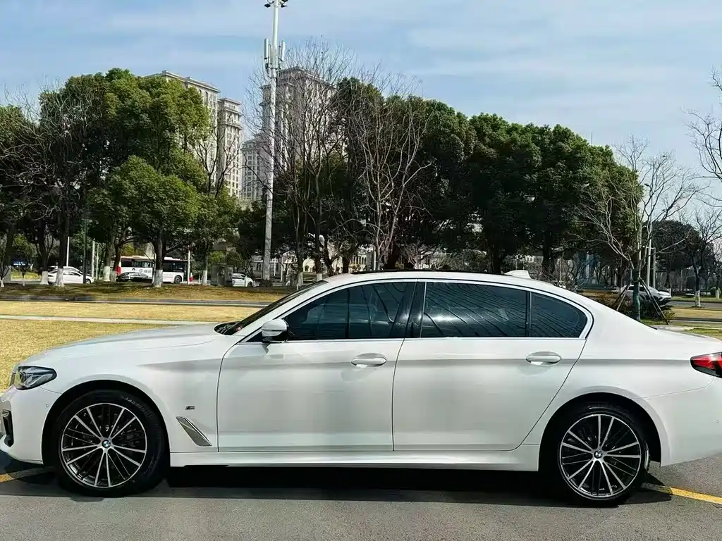 BMW 5 Series — миниатюра 4