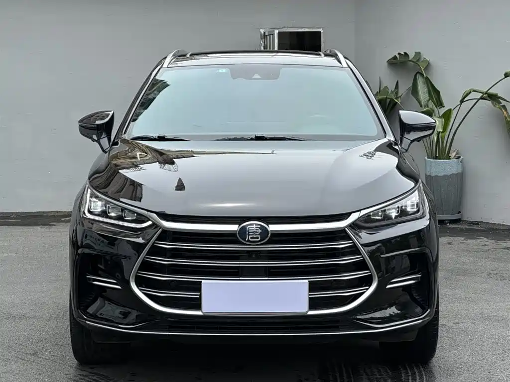 BYD Tang 2021 DM 2.0T