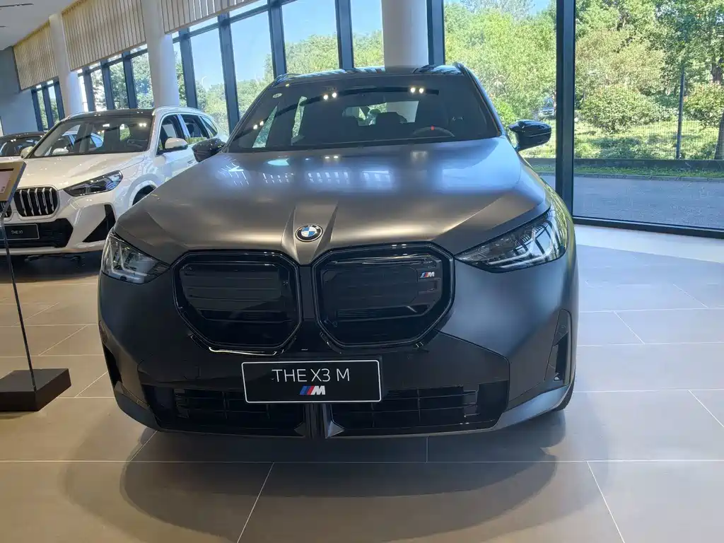 BMW X3 M50 — миниатюра 2