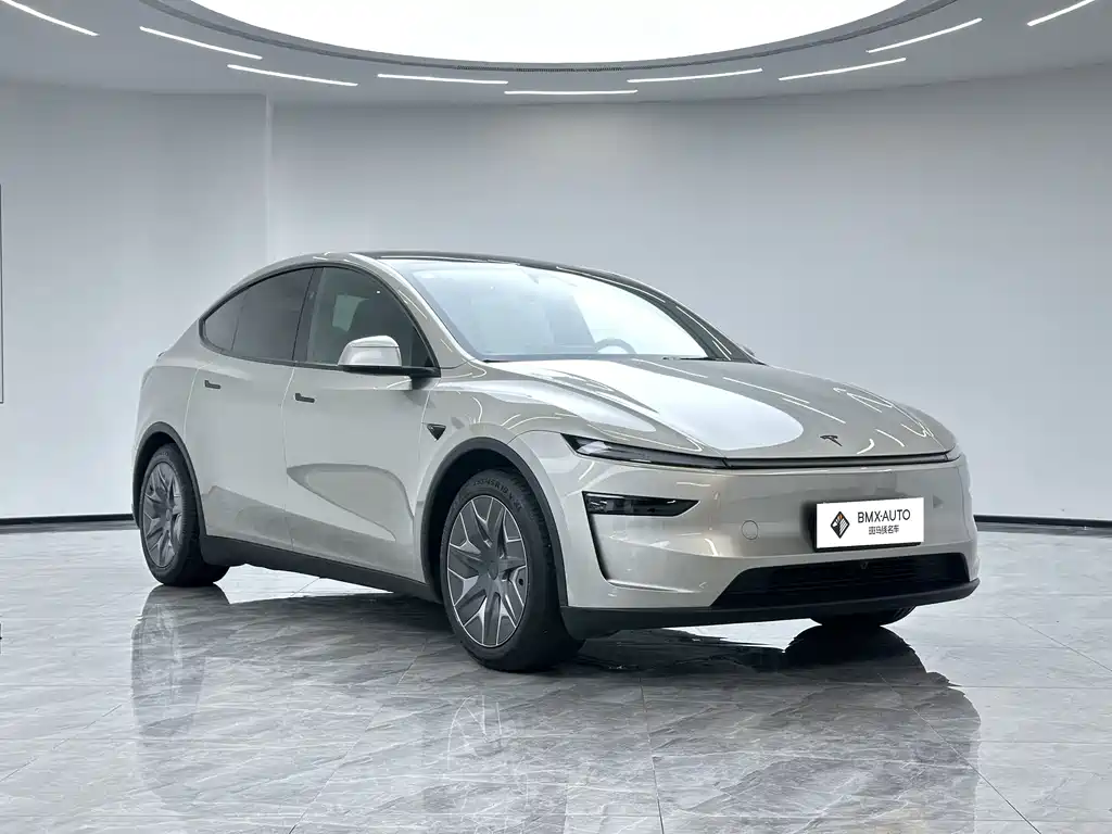 Tesla Model Y L
