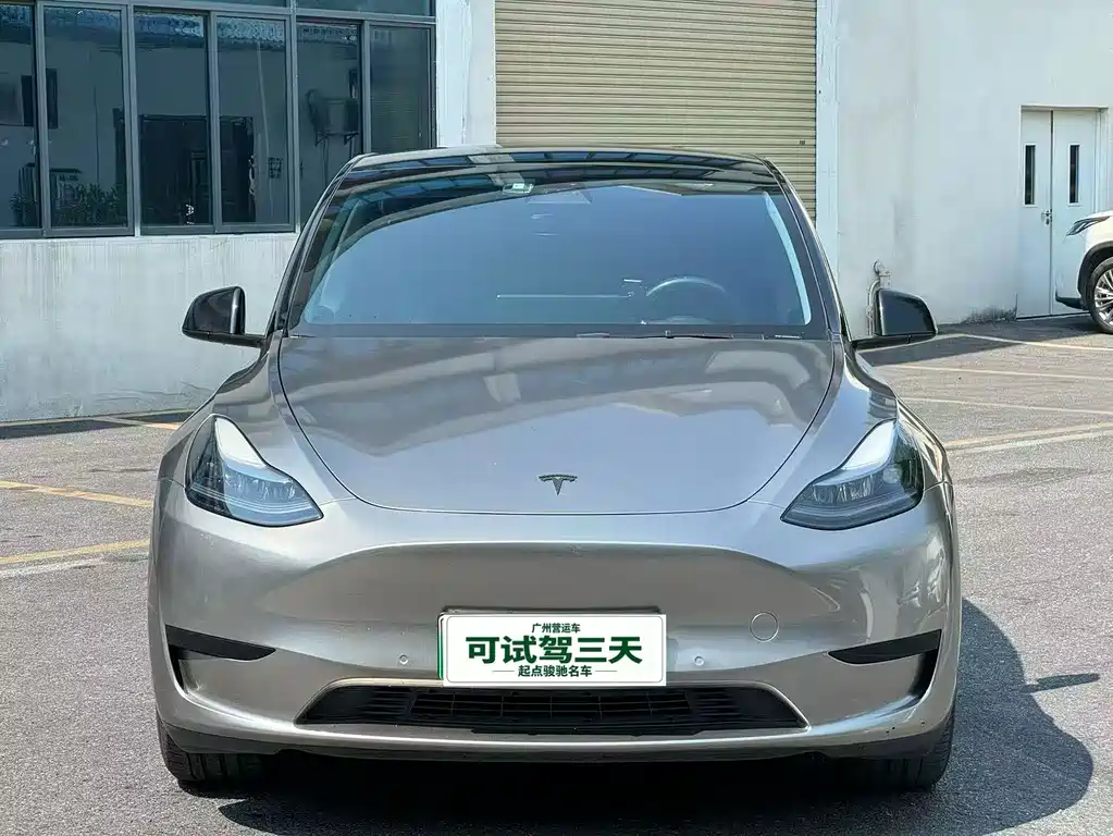 Tesla Model Y — миниатюра 2