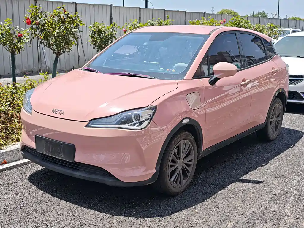 Neta Neta V 2021