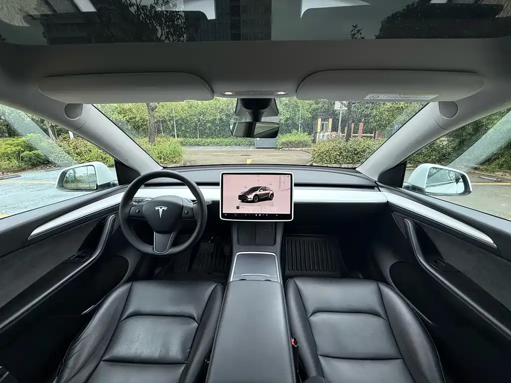 Tesla Model Y — миниатюра 7