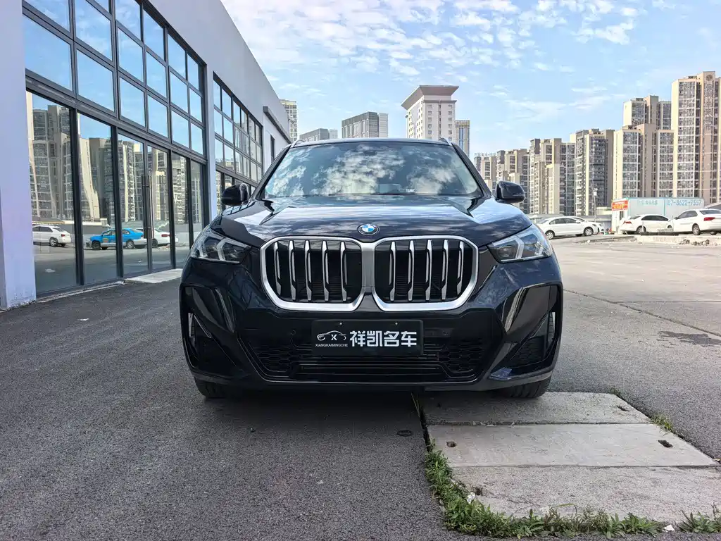 BMW X1 — миниатюра 2