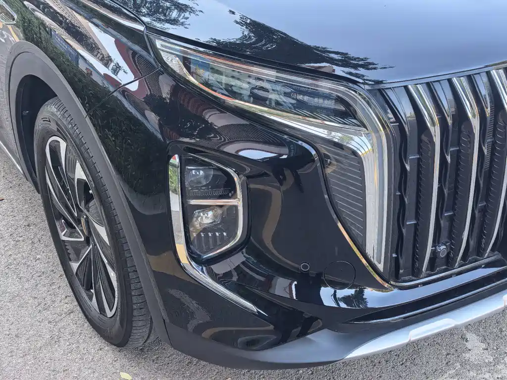 Hongqi Hongqi HS7 PHEV — миниатюра 13