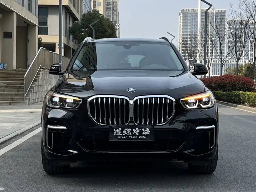 BMW X5 — миниатюра 2