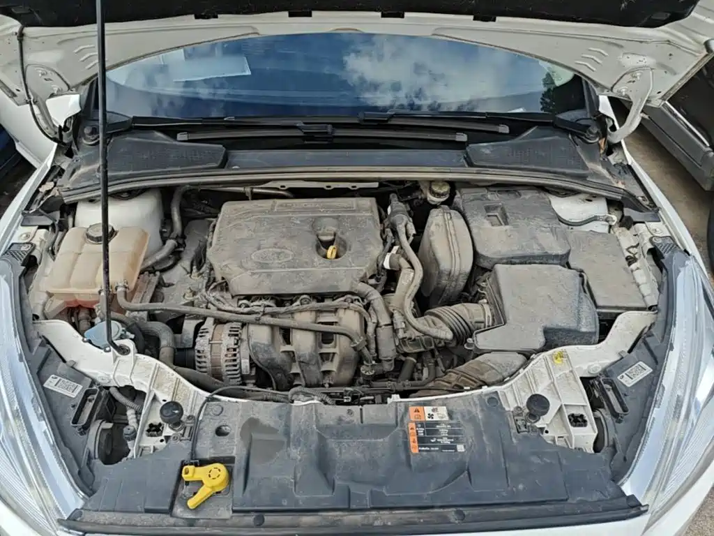 Ford Focus — миниатюра 20
