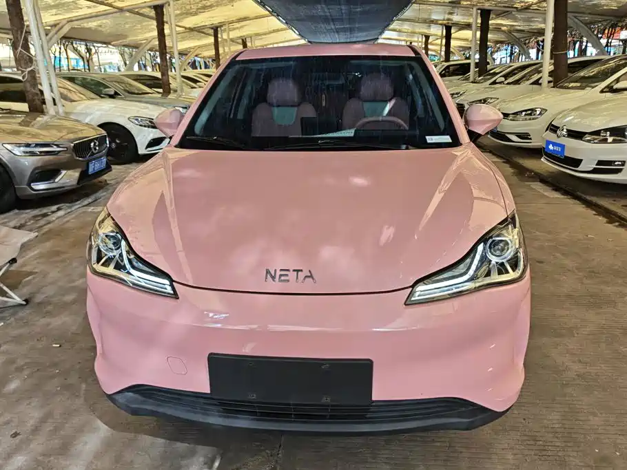 Neta Neta V — миниатюра 2