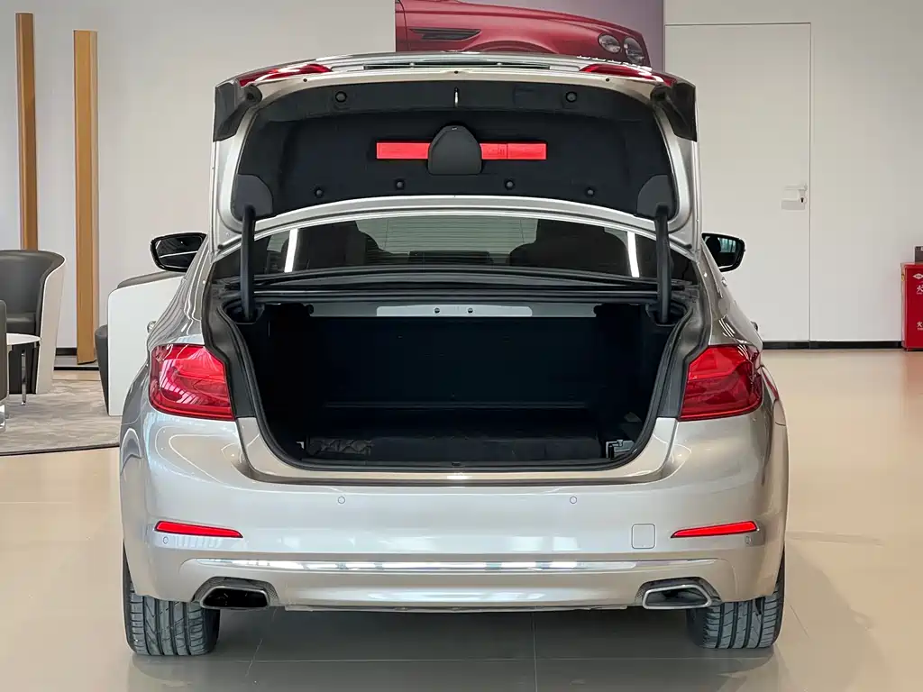 BMW 5 SERIES NEW ENERGY