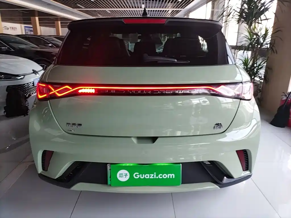 BYD Dolphin — миниатюра 6