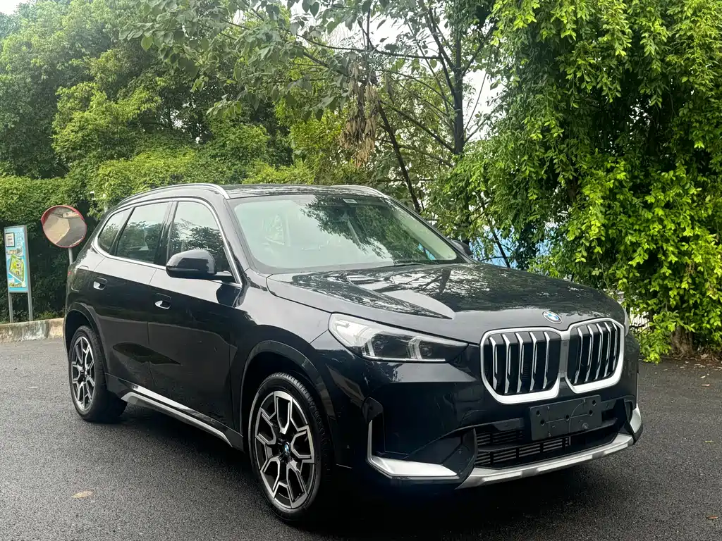 BMW X1 — миниатюра 2