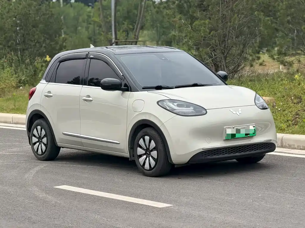 Wuling Binguo 2023 333km +