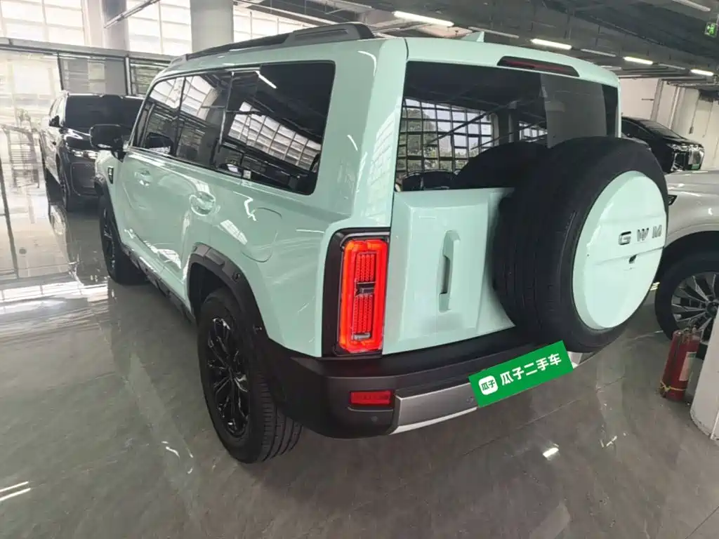 Haval Menglong New Energy — миниатюра 5
