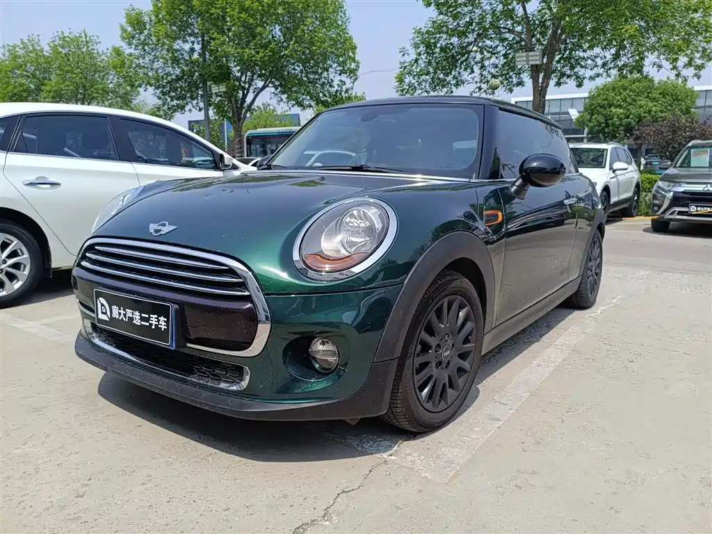 Mini Mini 2018