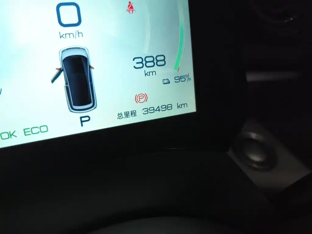 BYD Dolphin - фото 13