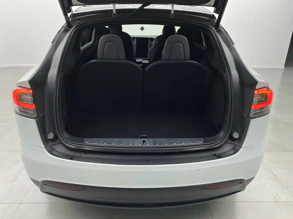 Tesla Model X — миниатюра 9