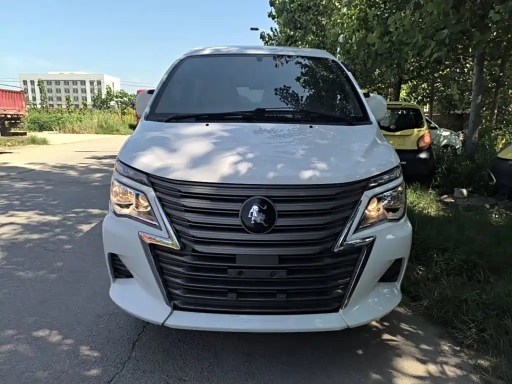 Fengxing Lingzhi — миниатюра 3
