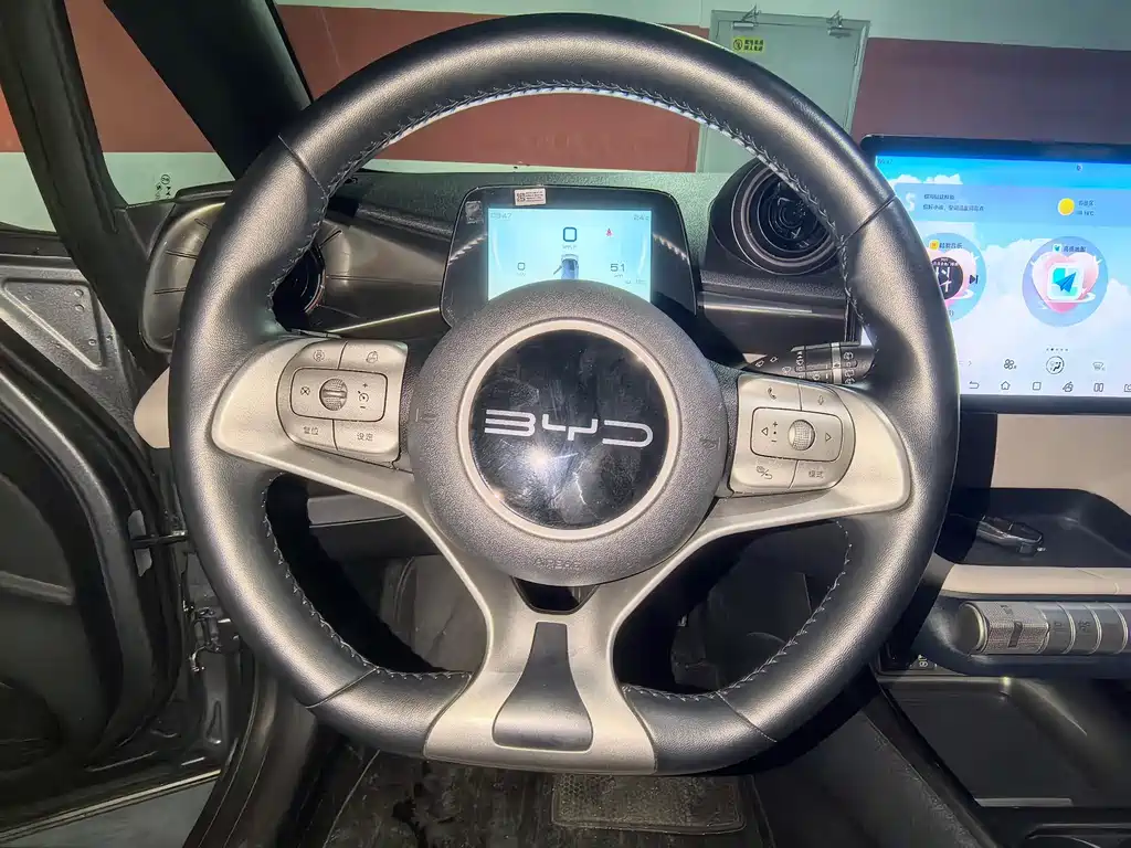 BYD Dolphin — миниатюра 13