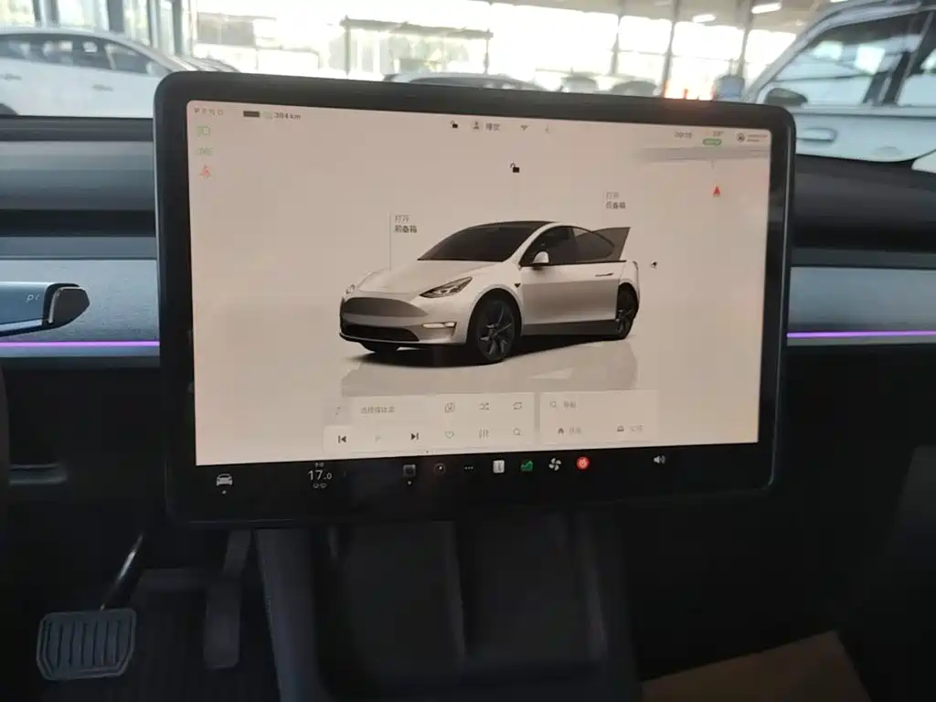 Tesla Model Y — миниатюра 13