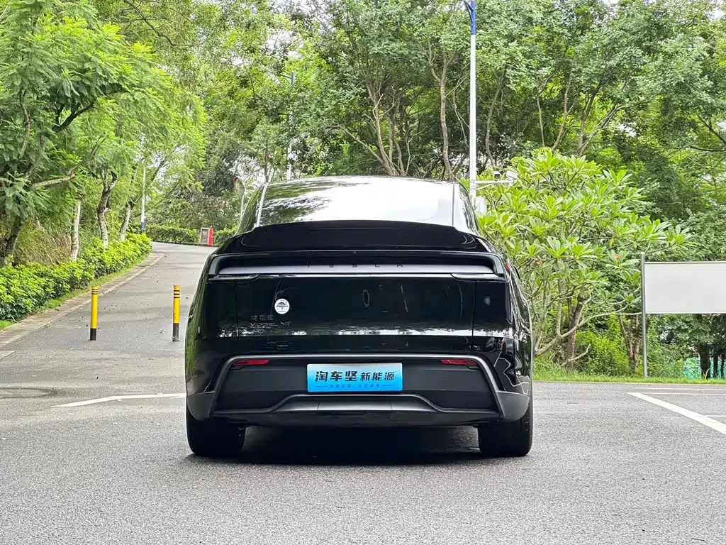 Tesla Model Y L