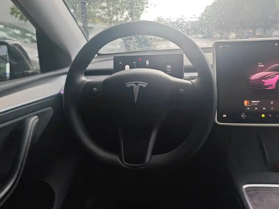 Tesla Model Y — миниатюра 15