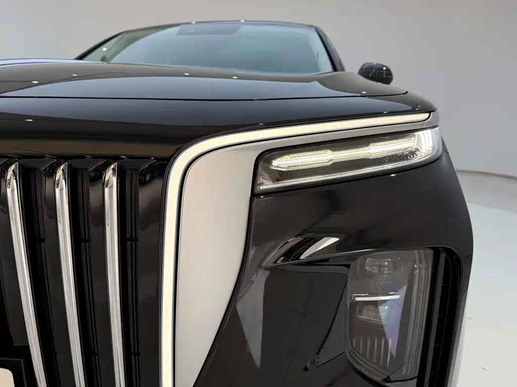 Hongqi Hongqi E-HS9 — миниатюра 2